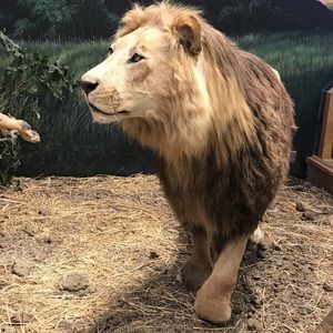 Meet your Posher, Veronica